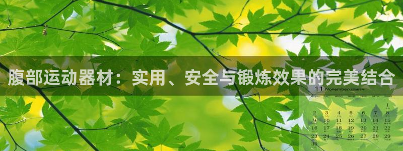 fb体育娱乐首页官网下载:腹部运动器材:实用、安全与锻炼效果