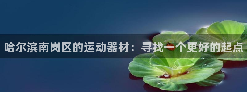 fb体育平台注册要钱吗安全吗:哈尔滨南岗区的运动器材:寻找一