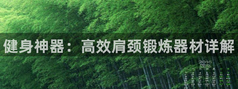 fb体育平台是正规平台吗安全吗:健身神器:高效肩颈锻炼器材详