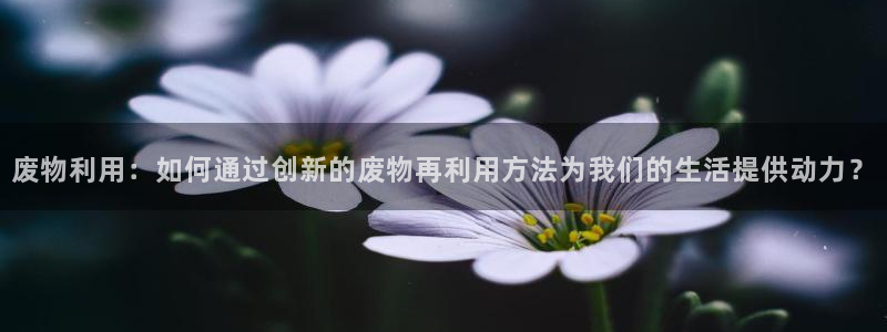 fb体育集团:废物利用:如何通过创新的废物再利用方法为我们的